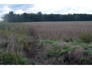Property photo 103 - EHLE FARMS AUCTION - 118+/- ACRES IN 9 TRACTS IN ALLEN COUNTY, INDIANA